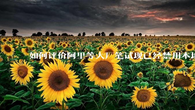 如何评价阿里等大厂笔试现已经禁用本地IDE？