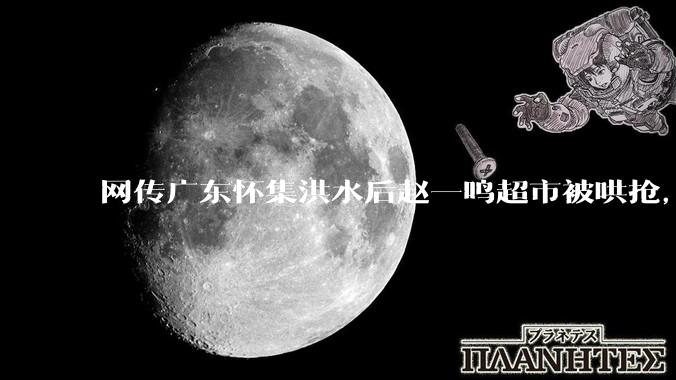 网传广东怀集洪水后赵一鸣超市被哄抢，县***回应相关单位正在核实，若属实哄抢者该承担哪些法律责任？
