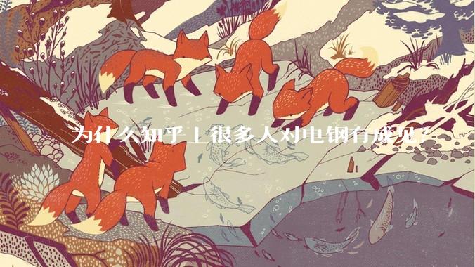 为什么知乎上很多人对电钢有成见？